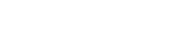 Braintoys Education